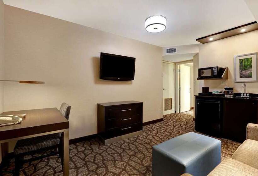 Suíte Cama King, Embassy Suites By Hilton Niagara Falls Fallsview