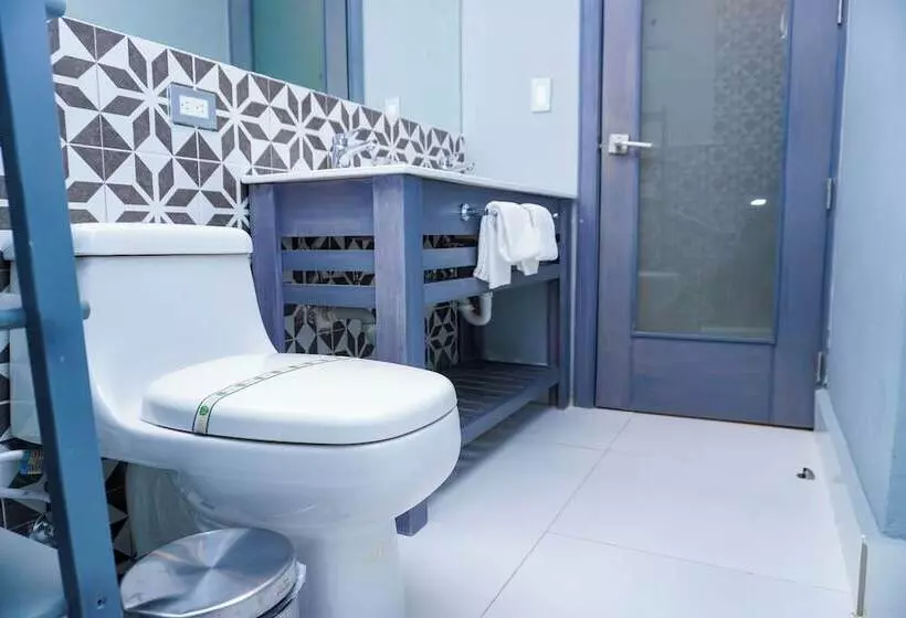 اتاق استاندارد برای معلولان, Gran Hotel Europa Trademark Collection By Wyndham