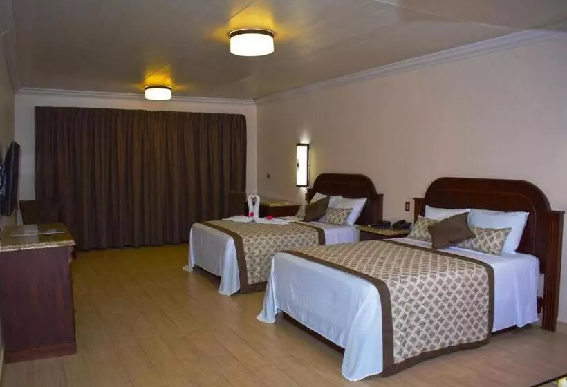 スタンダードルーム, Los Lagos Spa & Thermal Resort Experience