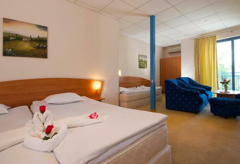 إستوديو قياسى, Paloma