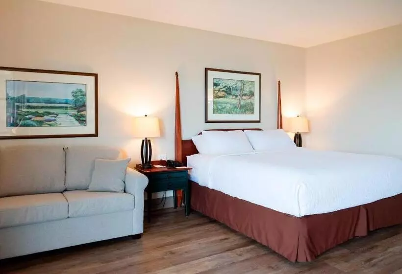 キングサイズベッドのスタンダードルーム, Rodd Brudenell River Resort