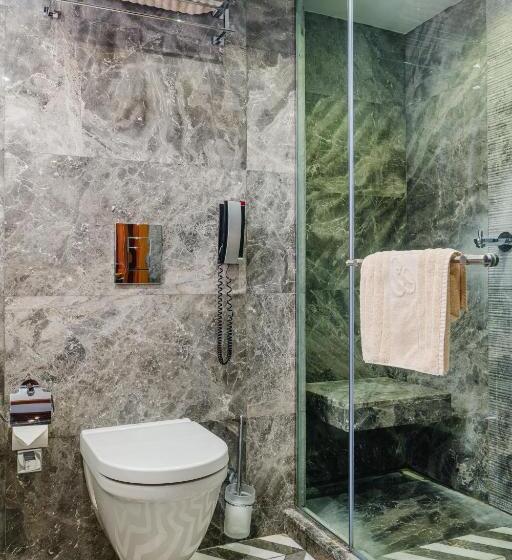 غرفة قياسية, The Arkin Colony