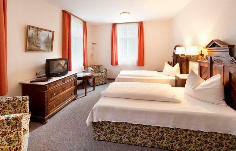 标准间, Waldgasthof Wildbad