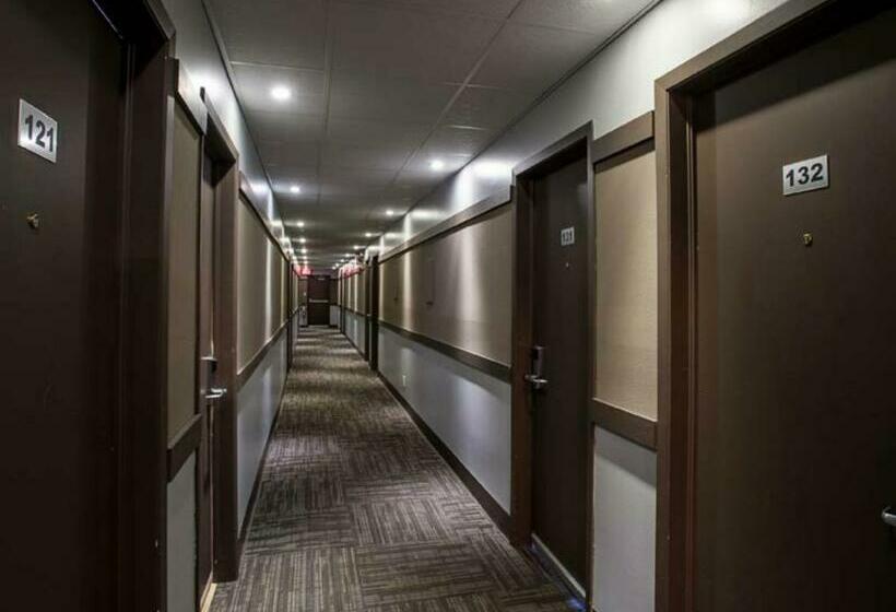 חדר סטנדרט שתי מיטות זוגיות, Motel Mistral