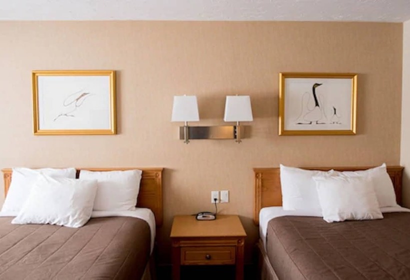 Номер Стандарт 2 Двуспальные Кровати, Motel Mistral
