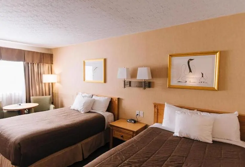 スタンダードルーム, Motel Mistral