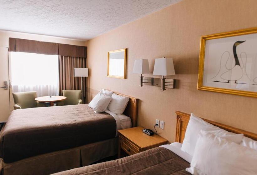 חדר סטנדרט, Motel Mistral