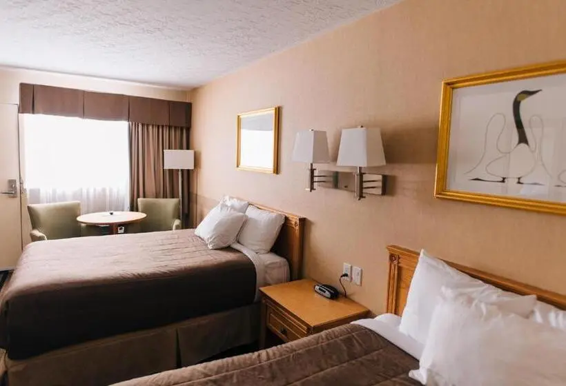 スタンダードルーム, Motel Mistral