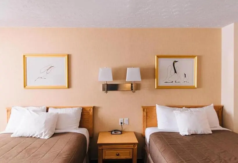 スタンダードルーム, Motel Mistral