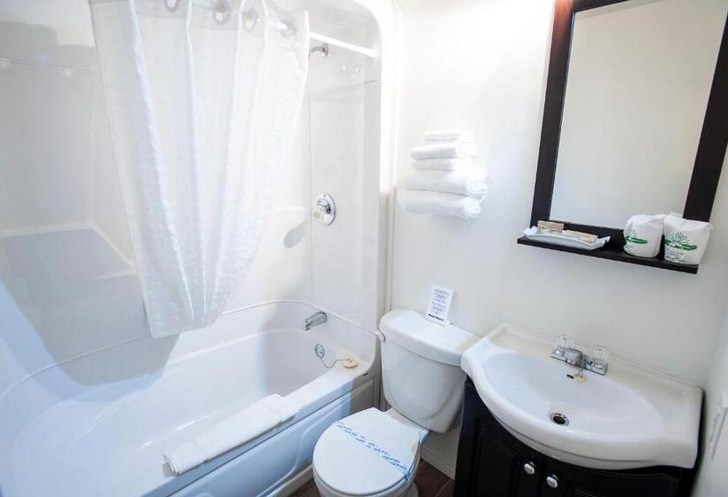 חדר סטנדרט, Motel Mistral