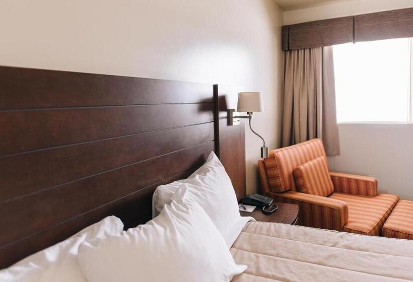 חדר סטנדרט, Motel Mistral