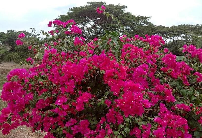 패밀리 룸, Wandee Resort Bankrut