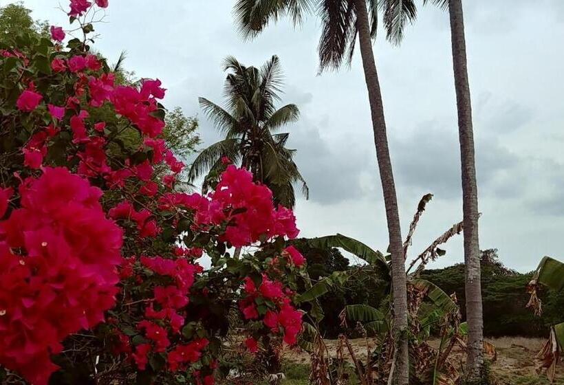 ファミリールーム, Wandee Resort Bankrut