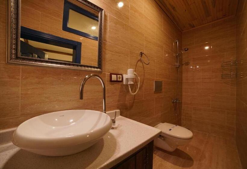 スーペリアールーム, Mirzade Konak