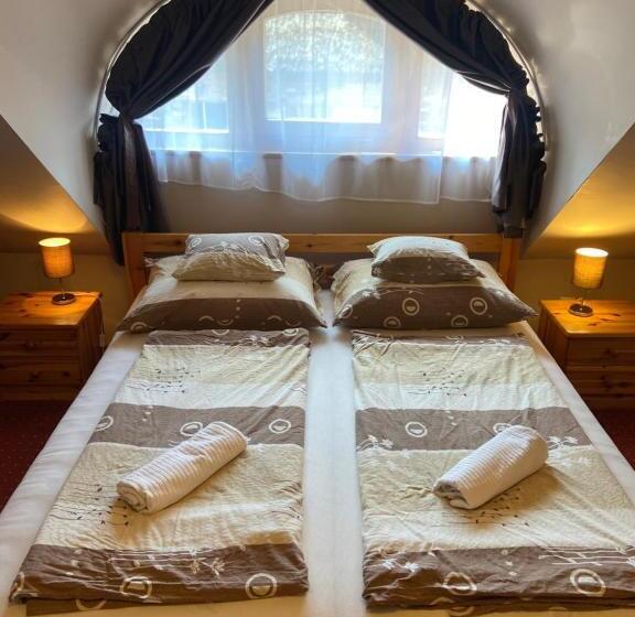 带1个卧室的公寓, Centrum Vendégház