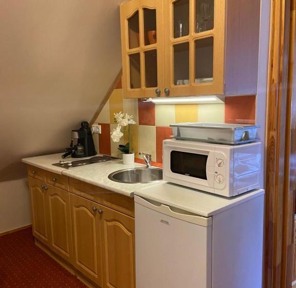 带1个卧室的公寓, Centrum Vendégház