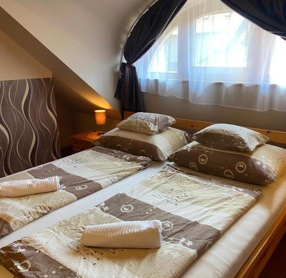 带1个卧室的公寓, Centrum Vendégház