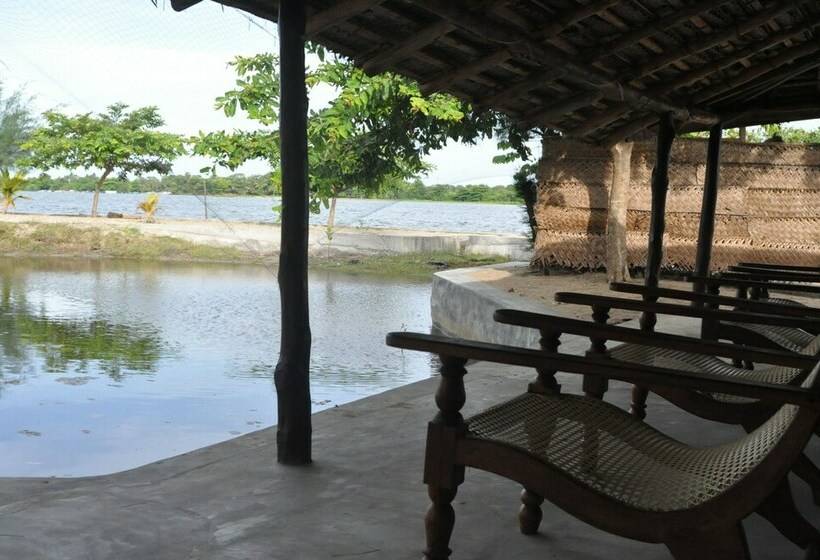 בקתה, The Cove Pasikuda