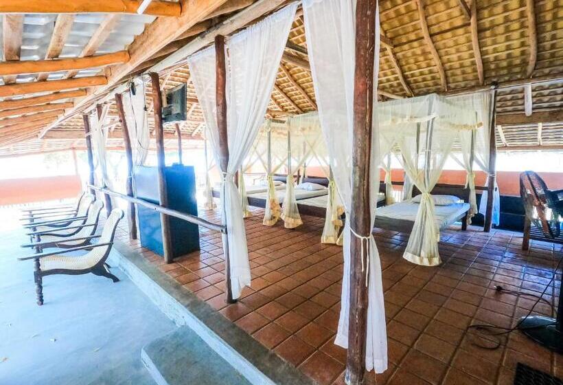 בקתה, The Cove Pasikuda