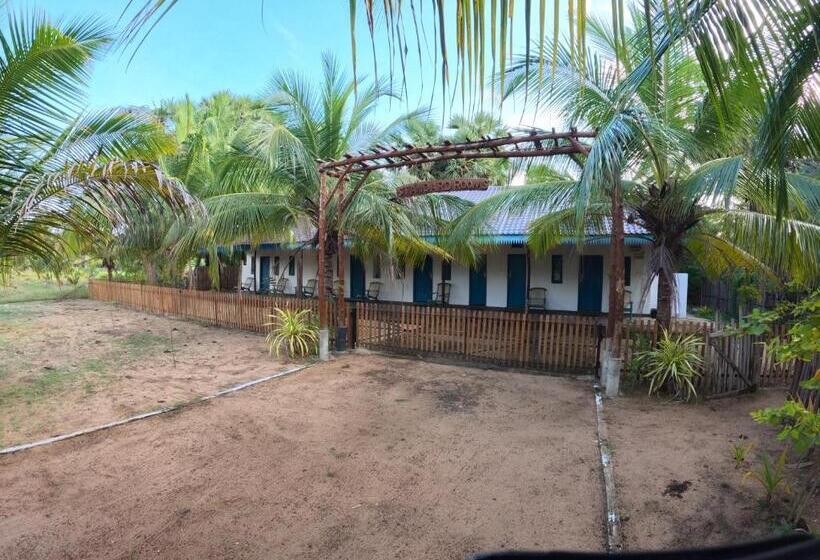 Номер Стандарт, The Cove Pasikuda