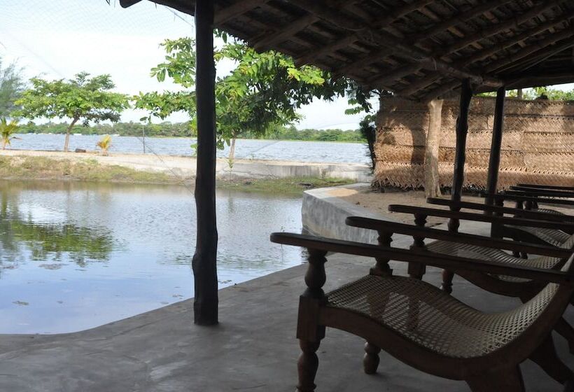 בקתה, The Cove Pasikuda