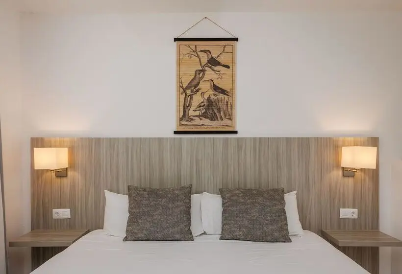 اتاق استاندارد, Bluesea Aloe Corralejo