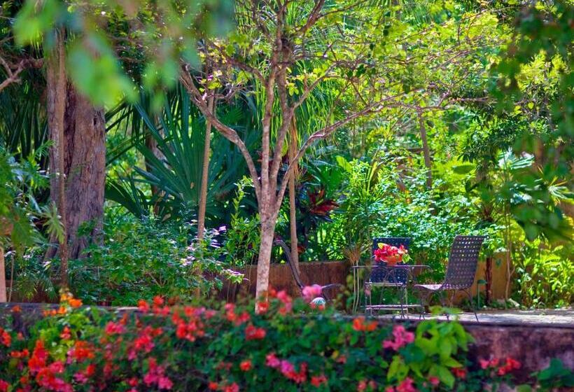 חדר דלוקס, Hacienda Santa Rosa De Lima