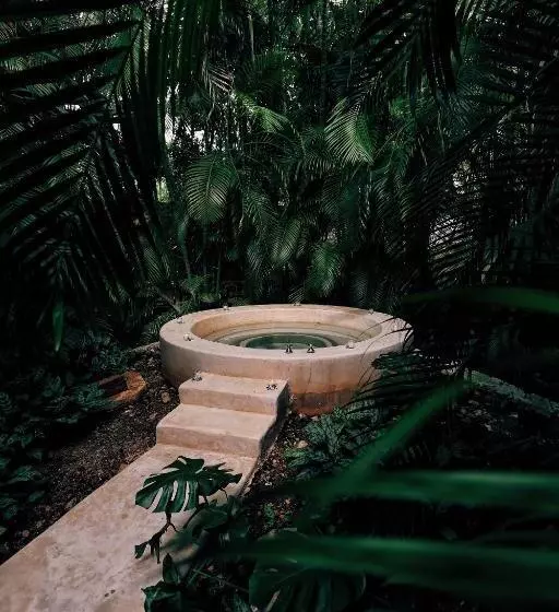 سوئیت با تخت بزرگ, Hacienda Santa Rosa De Lima