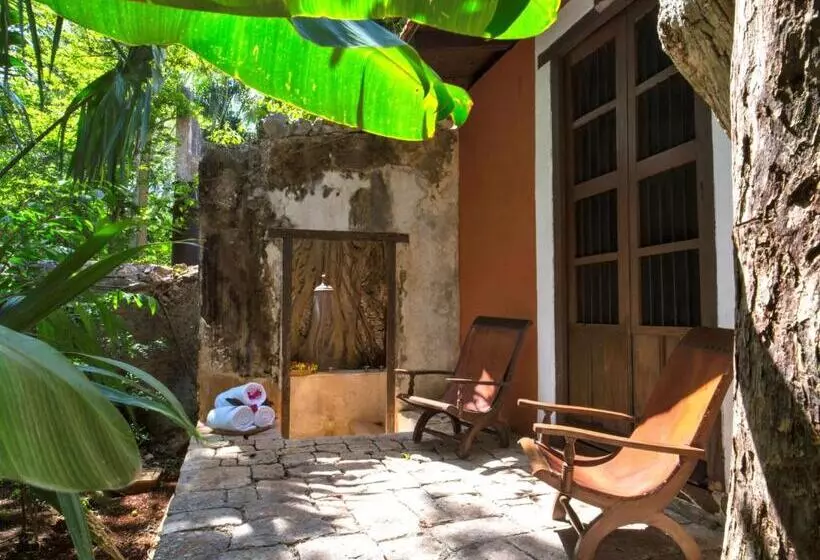 سوئیت با تخت بزرگ, Hacienda Santa Rosa De Lima