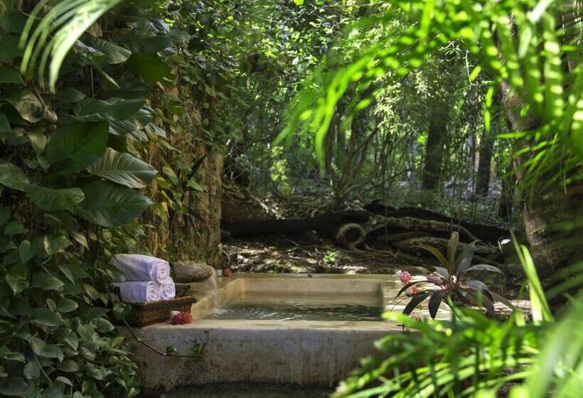 סוויטה, Hacienda Santa Rosa De Lima