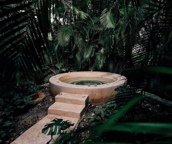 اتاق لوکس, Hacienda Santa Rosa De Lima