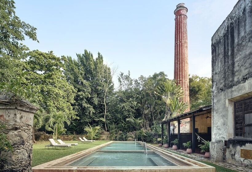 デラックスルーム, Hacienda Santa Rosa De Lima
