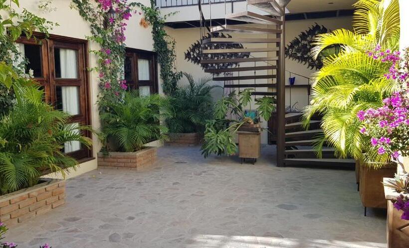 スイート, Posada De Las Flores La Paz