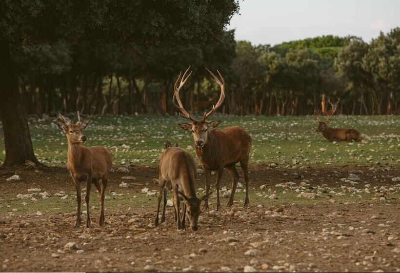 标准间, & Spa Arzuaga