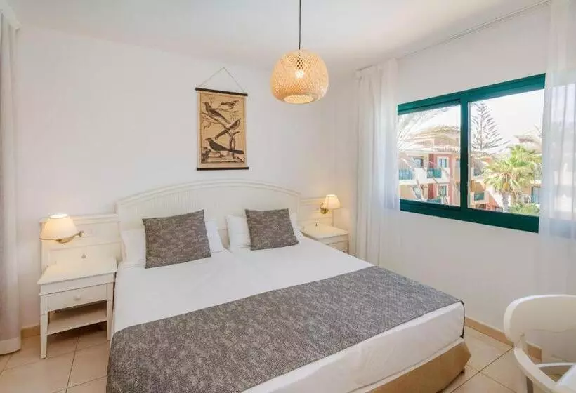 آپارتمان 1 خوابه با چشم‌انداز استخر, Bluesea Aloe Corralejo