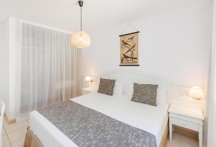 スタンダードルーム, O7 Aloe Corralejo