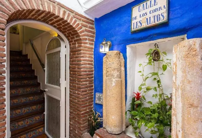 テラス付スイート, Puerta De Aduares