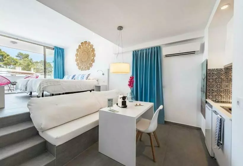 استودیوی استاندارد, Typic Marina Playa Adults Only