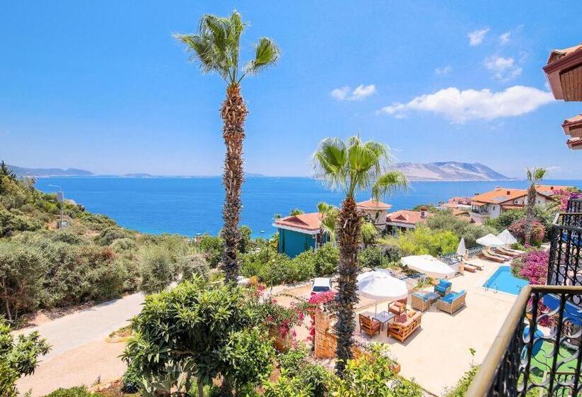 חדר סטנדרט נוף לים, Amphora