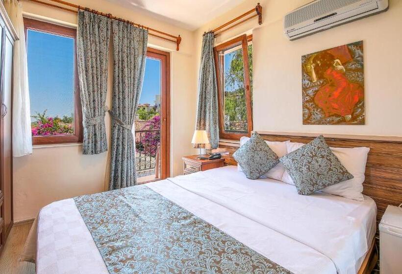 חדר סטנדרט נוף לגינה, Amphora