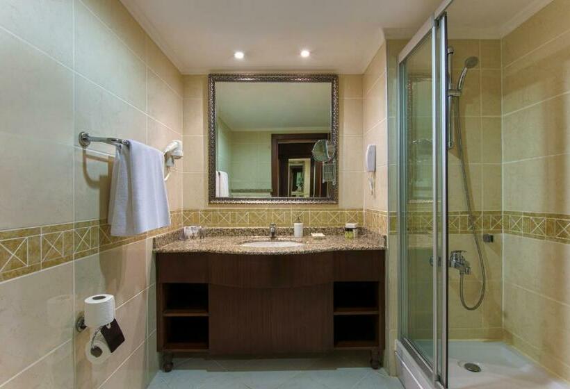 اتاق استاندارد با چشمانداز, Delphin Palace