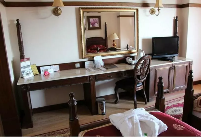 اتاق اساندارد با چشمانداز جانبی به دریا, Delphin Palace