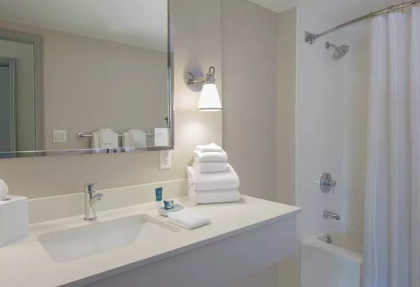 ２ダブルベッドのスタンダードルーム, Four Points By Sheraton Orlando International Drive