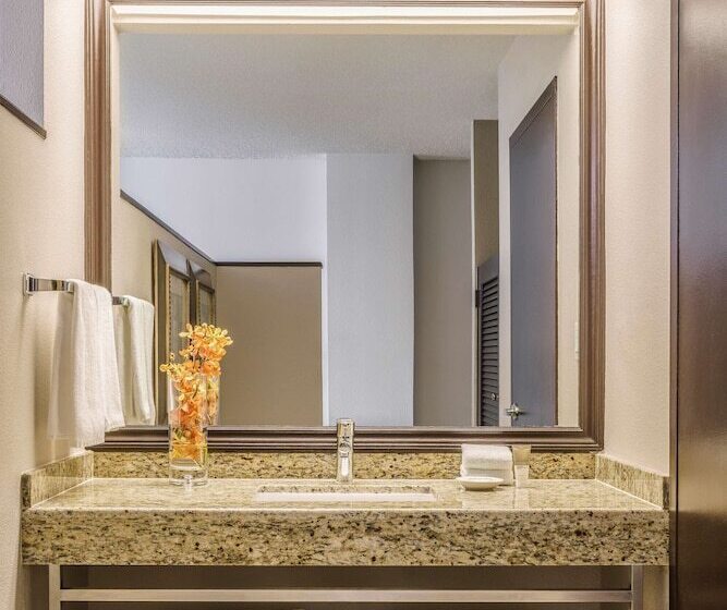 带2个双人床的标准工作室, Hyatt Regency Miami