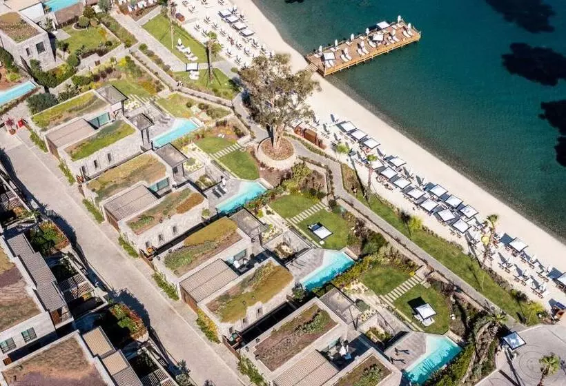 プール付き１ベッドルームヴィラ, Kaya Palazzo Resort & Residences Le Chic Bodrum