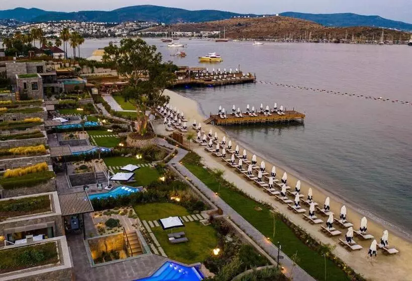プール付き１ベッドルームヴィラ, Kaya Palazzo Resort & Residences Le Chic Bodrum