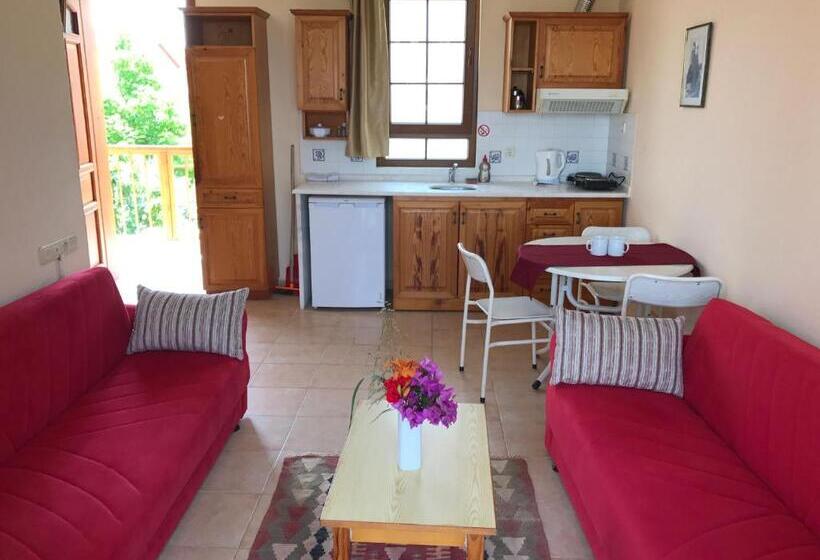 דירת חדר, Nar Apart