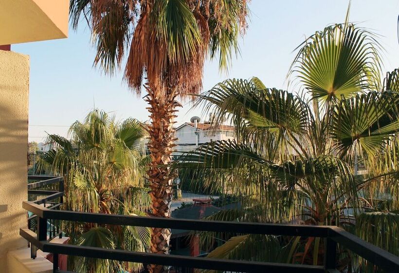 스탠다드 룸, Semoris