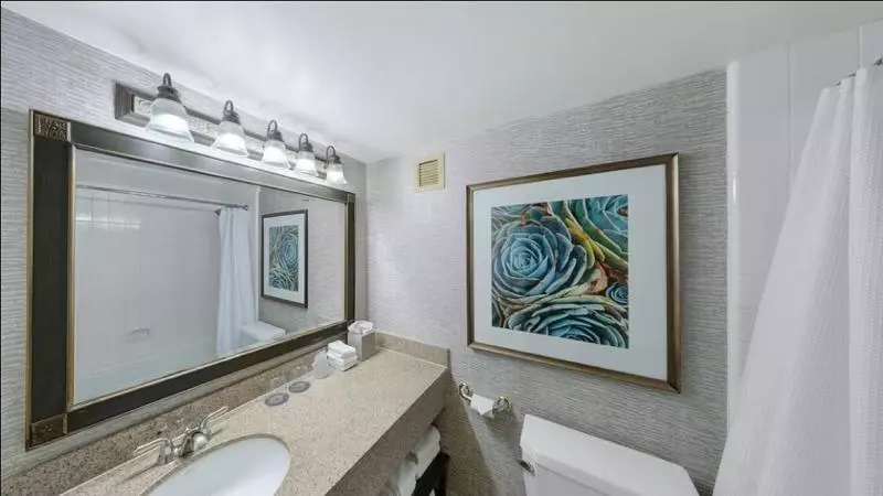 اتاق لوکس با تخت بزرگ, The Westin San Antonio North