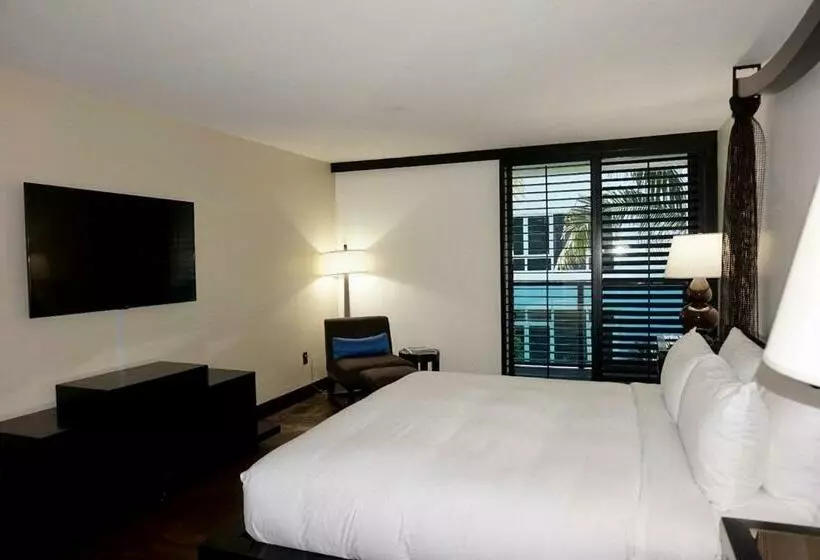 Standard-huone King-vuode, Tideline Palm Beach Ocean Resort And Spa